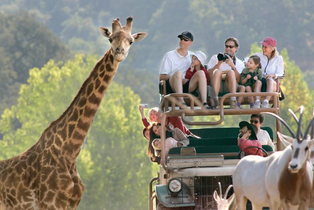 Safari West