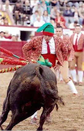 Portuguese-Suicide11a