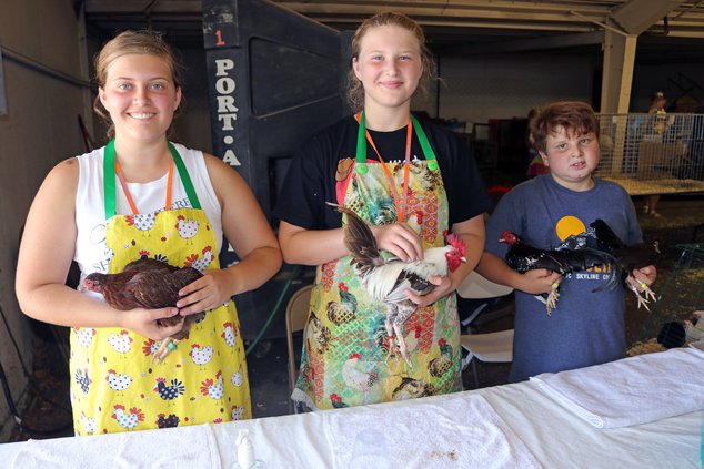 Ceres 4H chicken group