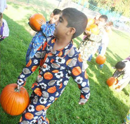 pumpkin 1