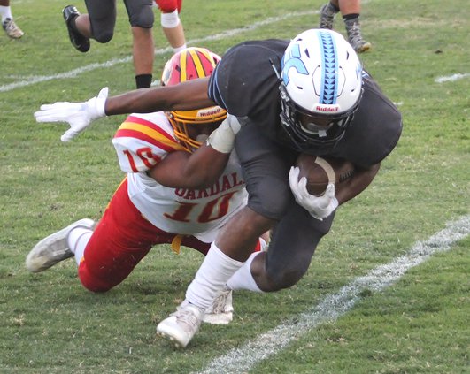 tackle.JPG