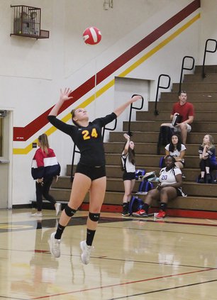 Volleyball 2.JPG