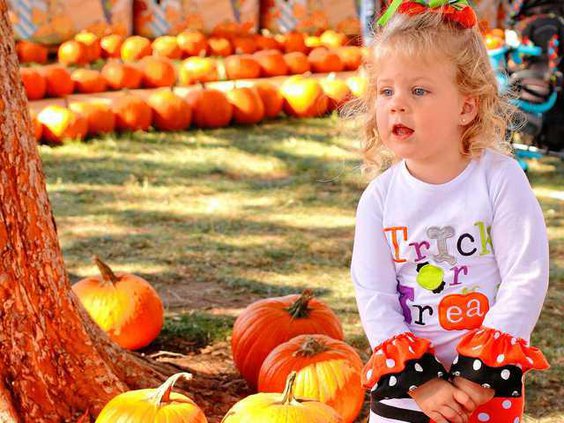 PUMPKIN FAIR10 10-5-15