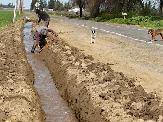 Bulletin 1 DitchDigging