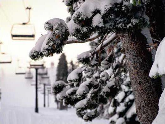 snow