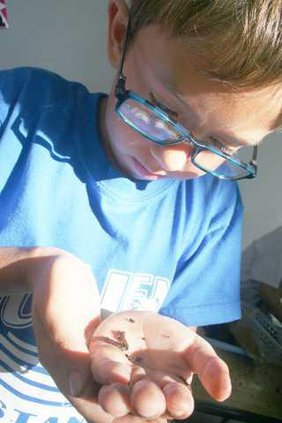 Julien 3