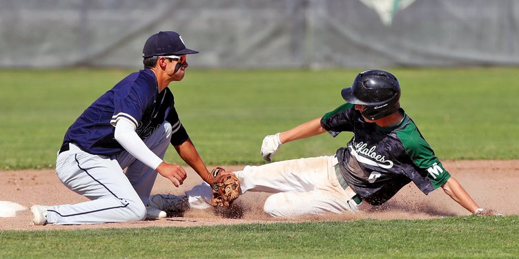 Bulletin baseball 2019
