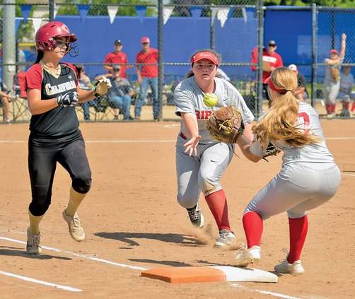 Bulletin softball 2019
