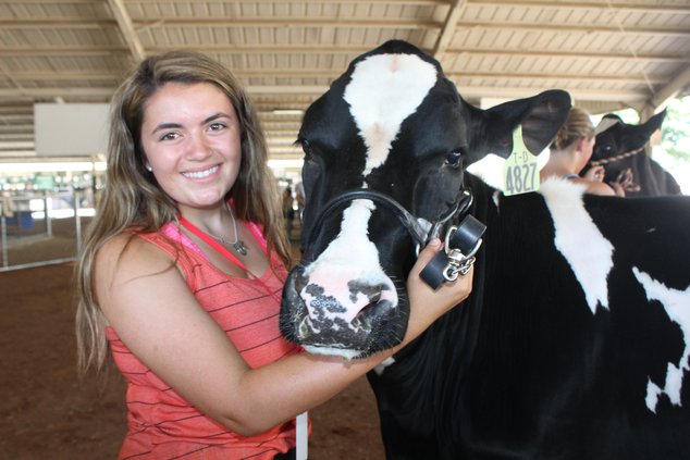 fair animals 6