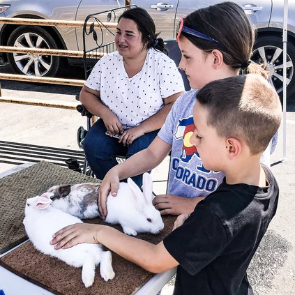 4h animals
