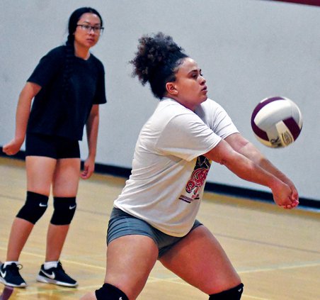 bulletin girls volleyball 2019