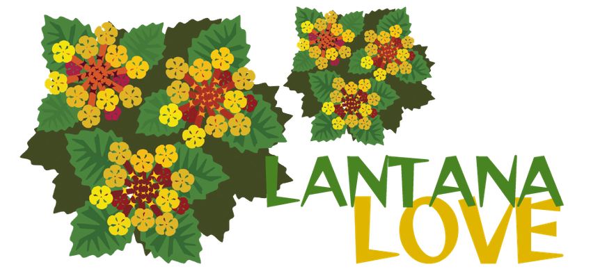 lantana.png