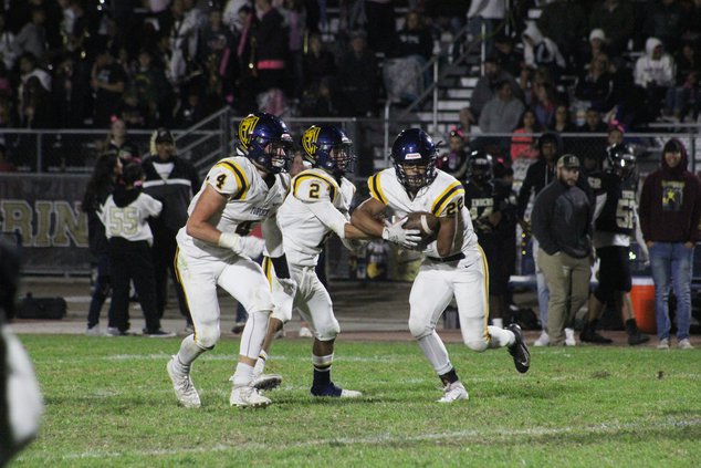 ths v ehs 2