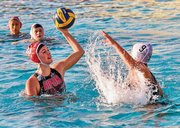 Bulletin water polo 2019